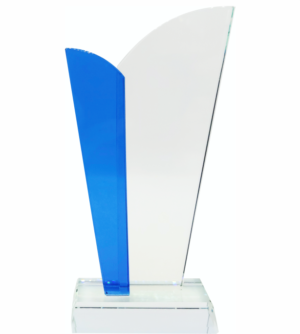 Glass Trophy 250mm High