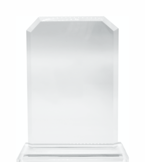 Glass Trophy 219mm High