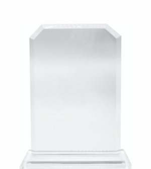 Glass Trophy 180mm High