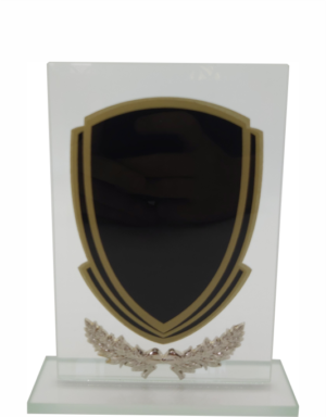 Glass Trophy 165mm 5mm Thick