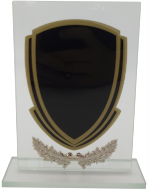 Glass Trophy 205mm 5mm Thick