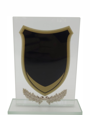 Glass Trophy 165mm 5mm Thick
