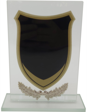 Glass Trophy 205mm 5mm Thick